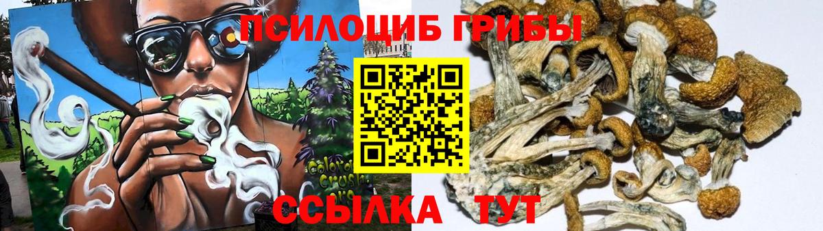 Псилоцибиновые грибы ЛСД Северск