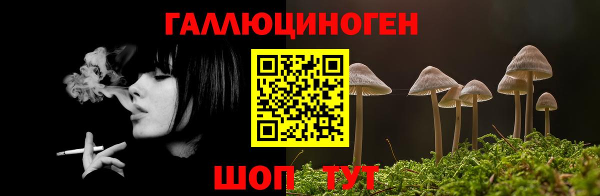 купить закладку  Вход с VPN  Северск  Галлюциногенные грибы мухоморы 